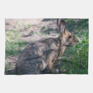 Brown Rabbit, Resting in Nature Kitchen Towel