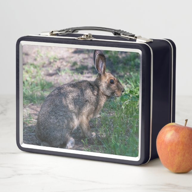 Brown Rabbit, Resting in Nature Metal Lunch Box (In Situ)