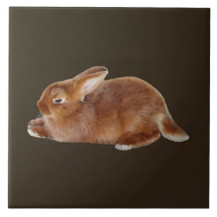 Brown Rabbit Tile