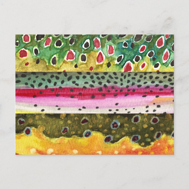 Brown, Rainbow and Brook Trout Fishing Postcard (Front)