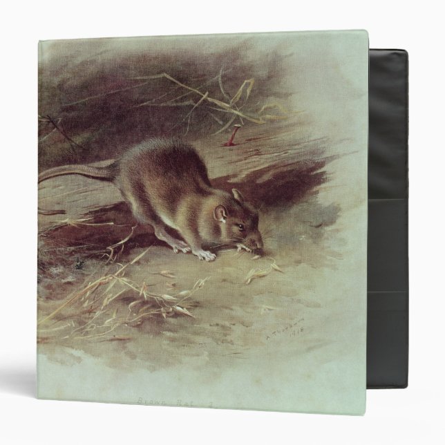 Brown Rat  1918 Binder (Front/Inside)