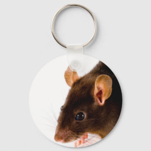 Brown Rat Keychain