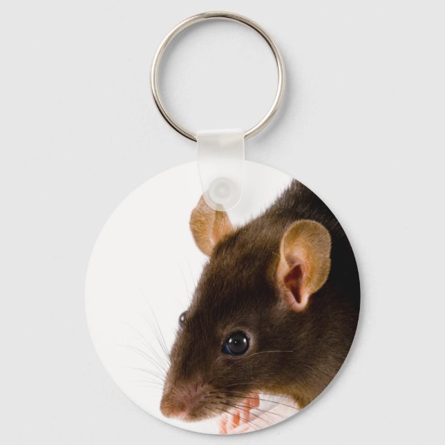 Brown Rat Keychain (Front)