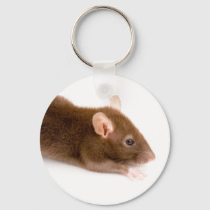Brown Rat Keychain