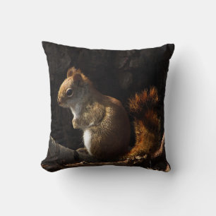 Brown Red Squirrel in Sunlight Outdoor Pillow