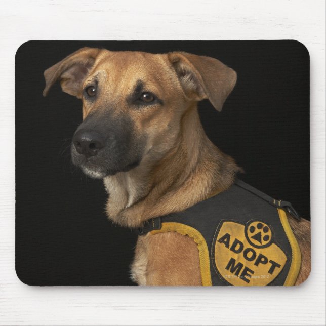 Brown rescue dog with adopt me vest mouse pad (Front)