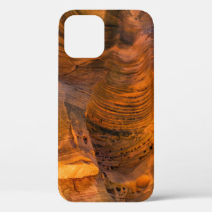Brown rock formation iPhone 12 case
