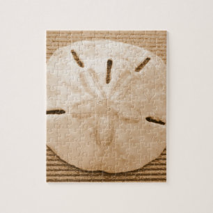 Brown Sand Dollar Jigsaw Puzzle