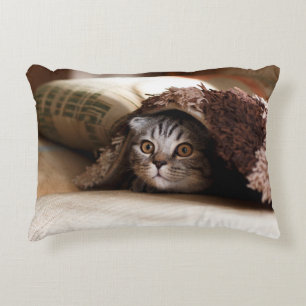 BROWN SCOTTISH FOLD IN BROWN THICK-PILE BLANKET ACCENT PILLOW