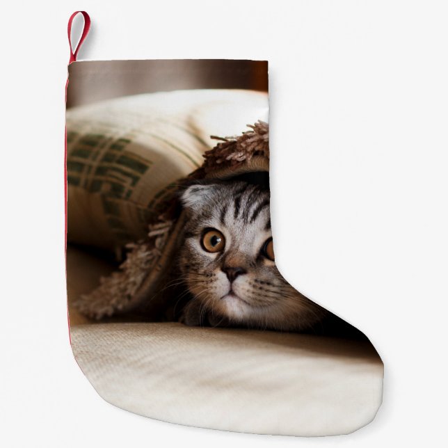 BROWN SCOTTISH FOLD IN BROWN THICK-PILE BLANKET SMALL CHRISTMAS STOCKING (Front)