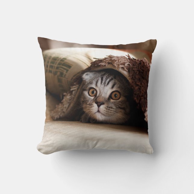 BROWN SCOTTISH FOLD IN BROWN THICK-PILE BLANKET THROW PILLOW (Front)