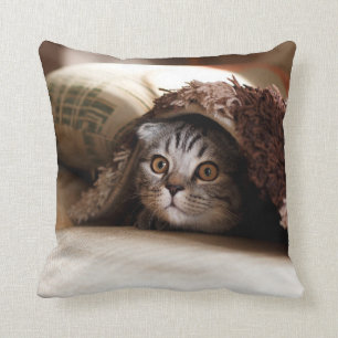 BROWN SCOTTISH FOLD IN BROWN THICK-PILE BLANKET THROW PILLOW