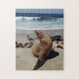 Brown Sea Lion on a Beach Jigsaw Puzzle