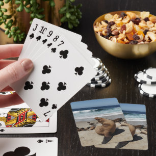Brown Sea Lion on a Beach Playing Cards