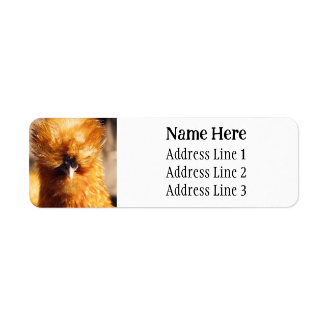 Brown Silkie Pet poulet Retourner l'adresse (Devant)