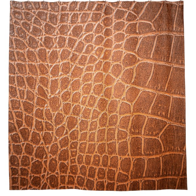 Brown skin leather texture use for background (Front)