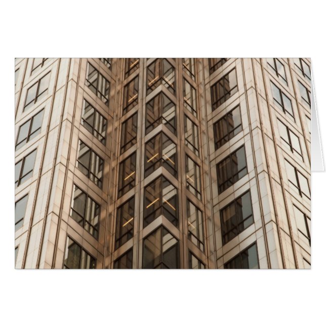 Brown Skyscraper Texture (Front Horizontal)