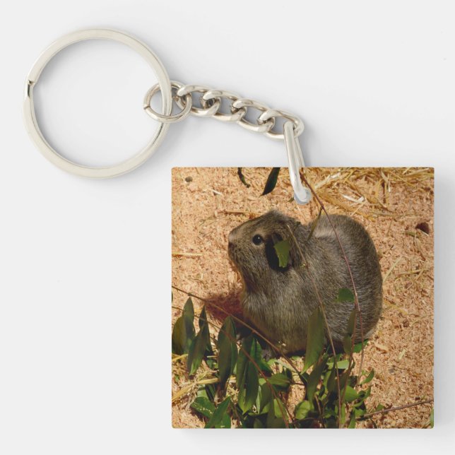 Brown Smooth Haired Guinea Pig, Keychain (Front)