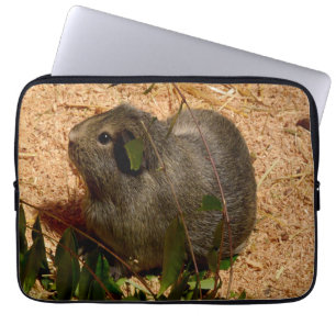 Brown Smooth Haired Guinea Pig, Laptop Sleeve