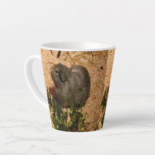 Brown Smooth Haired Guinea Pig, Latte Mug