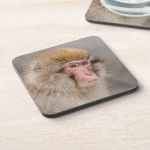 Brown Snow Monkey, Japanese Photography Coaster
