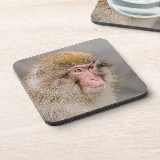Brown Snow Monkey, Japanese Photography Coaster (Left Side)