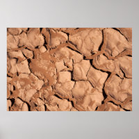 Brown soils