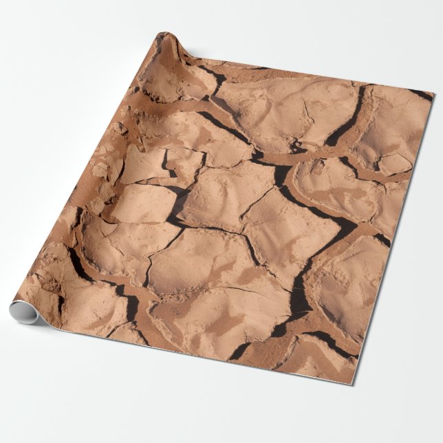 Brown soils wrapping paper (Unrolled)