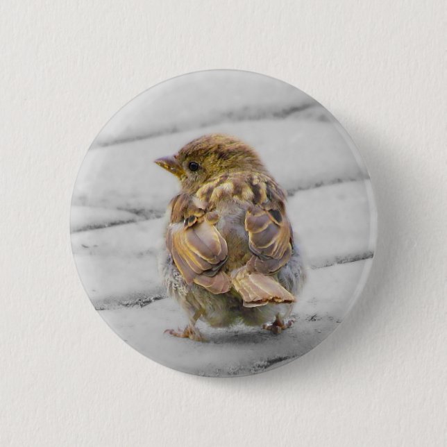 Brown Sparrow 2 Inch Round Button (Front)