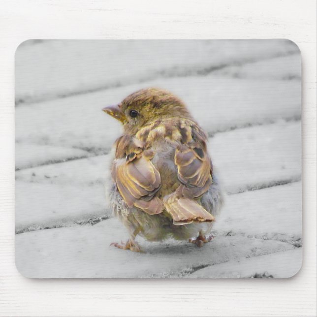 Brown Sparrow Mouse Pad (Front)