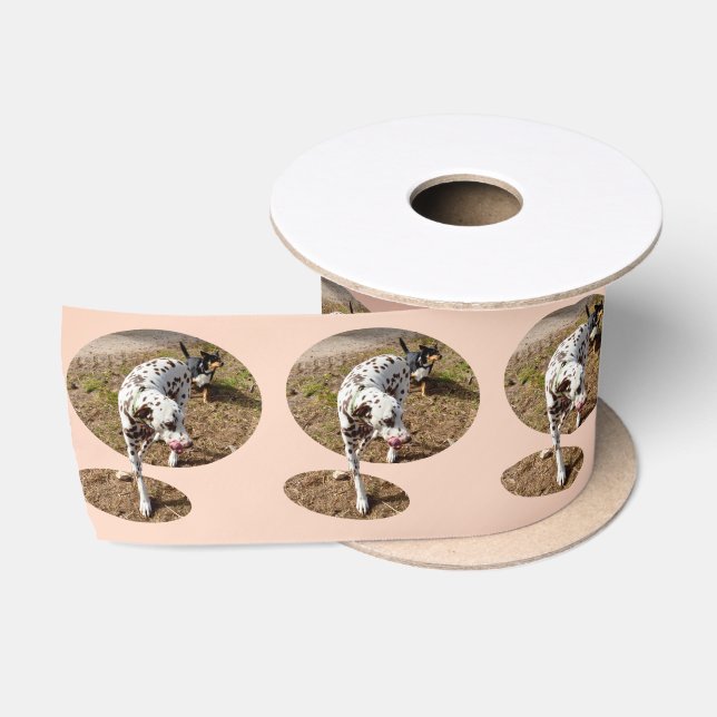 Brown Spotted Dalmatian,  Satin Ribbon (Spool)