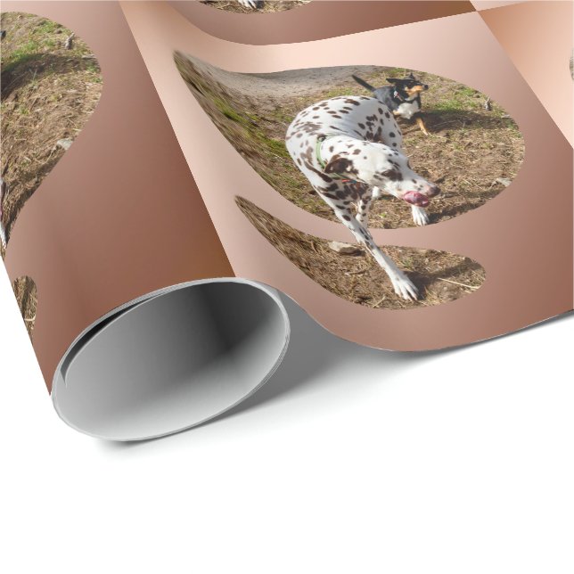 Brown Spotted Dalmatian,  Wrapping Paper (Roll Corner)
