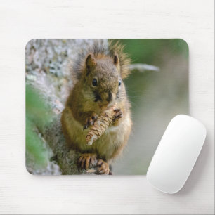 Brown Squirrel Among Branches – Canadian Wildlife  Mouse Pad