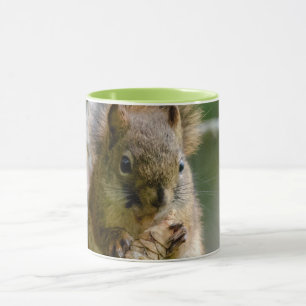 Brown Squirrel in Alberta – Woodland Wildlife Mug