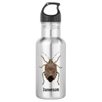 Brown Stink Bug Illustration Personalized