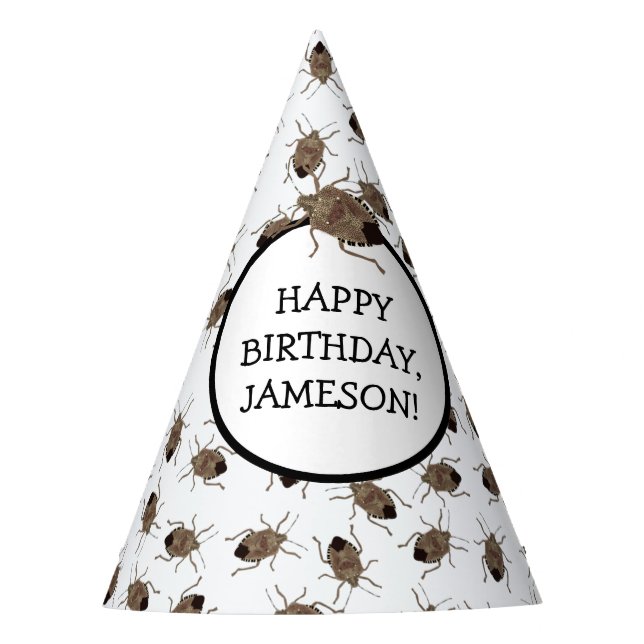 Brown Stink Bug Illustration Personalized Party Hat (Front)