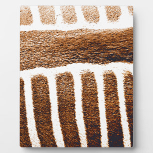 Brown Stripes_ Plaque