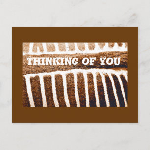 Brown Stripes_ Postcard