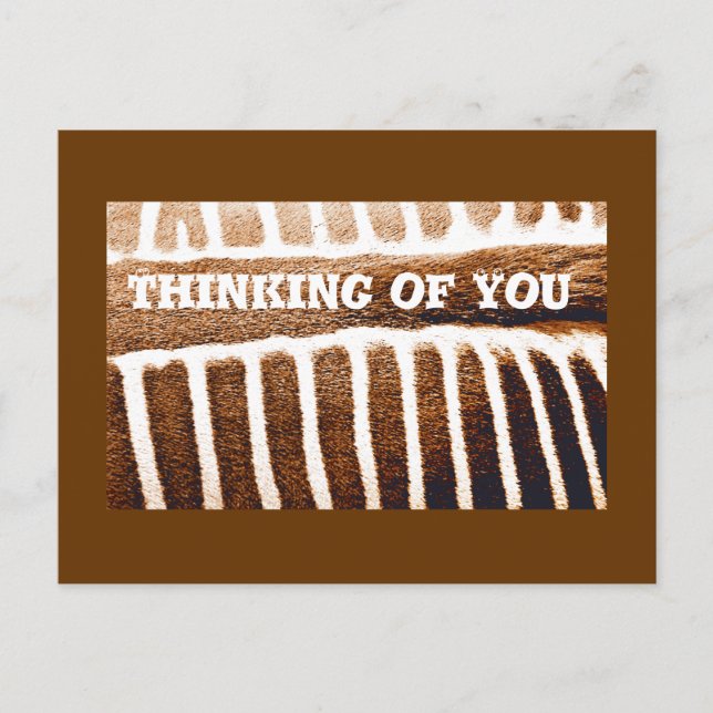 Brown Stripes_ Postcard (Front)