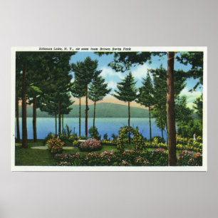 Brown Swan Park View of the Lake Poster