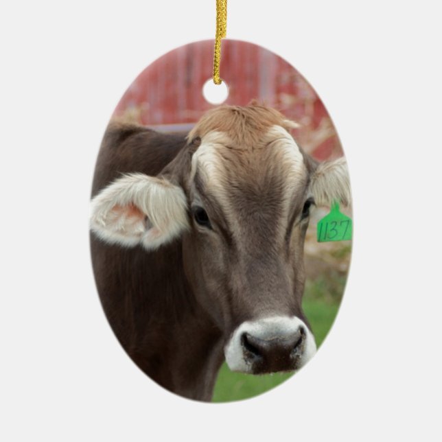 Brown Swiss Cow Ceramic Ornament (Front)
