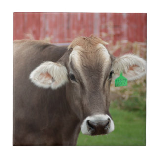 Brown Swiss Cow Tile