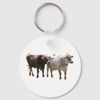 Brown Swiss Cows Keychain