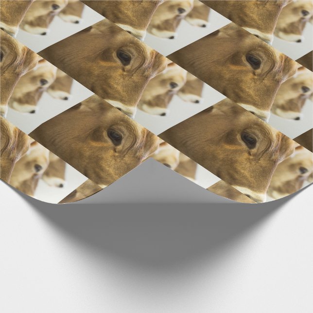 Brown Swiss Dairy Cows Wrapping Paper (Corner)