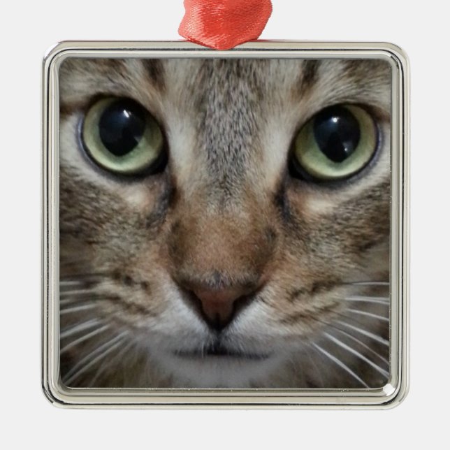 Brown Tabby Cat Metal Ornament (Front)