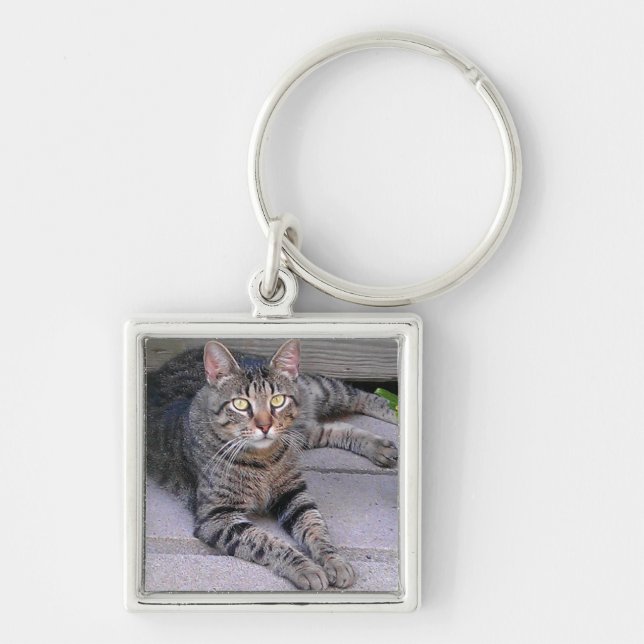 Brown Tabby Cat Outdoors Keychain (Front)
