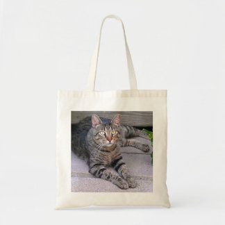 Brown Tabby Cat Outdoors Tote Bag
