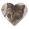 Brown Tabby Heart Stickers