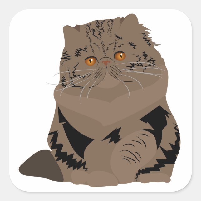 brown tabby persian cat square sticker (Front)