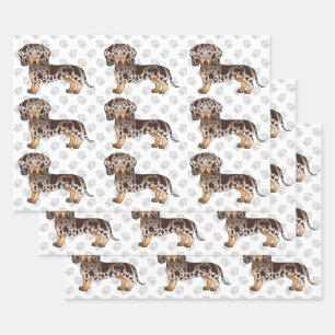Brown & Tan Dapple Short Hair Dachshund Pattern Wrapping Paper Sheet